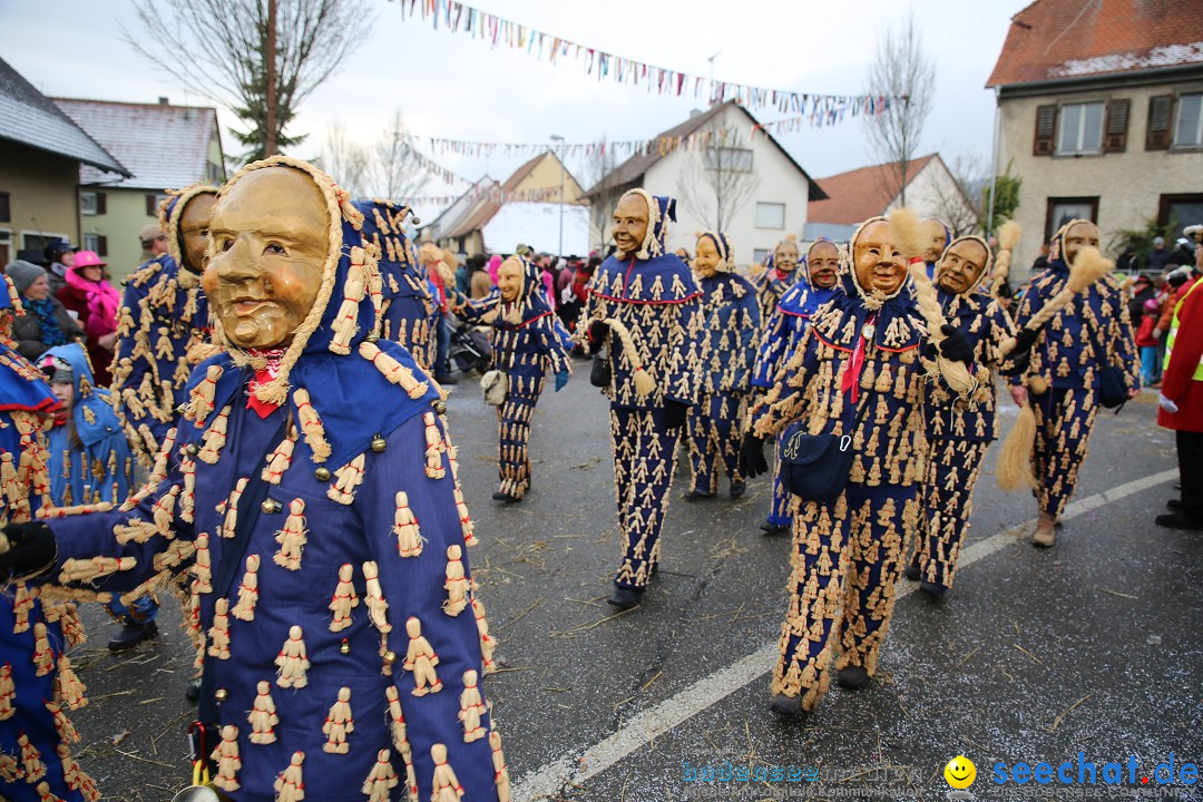 Fasnachtsumzug und Narrentage: Welschingen, 24.01.2016