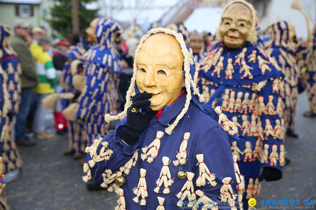 Fasnachtsumzug und Narrentage: Welschingen, 24.01.2016