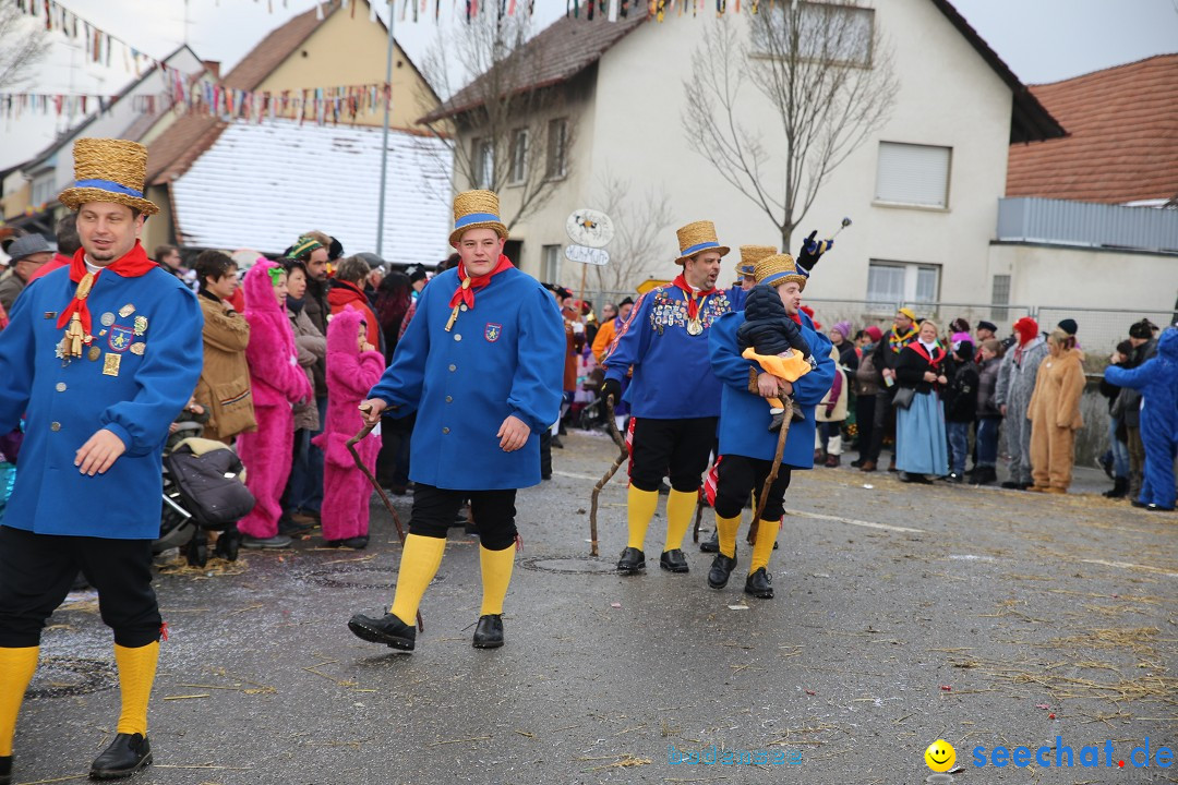 Fasnachtsumzug und Narrentage: Welschingen, 24.01.2016