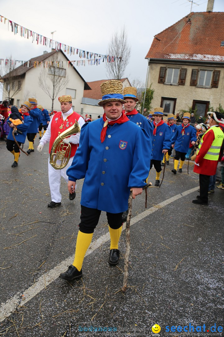 Fasnachtsumzug und Narrentage: Welschingen, 24.01.2016