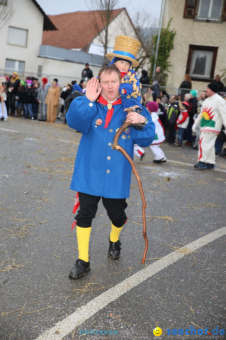 Fasnachtsumzug und Narrentage: Welschingen, 24.01.2016