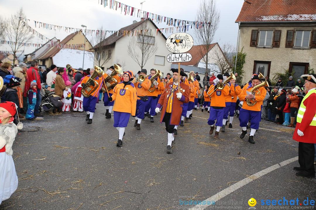 Fasnachtsumzug und Narrentage: Welschingen, 24.01.2016