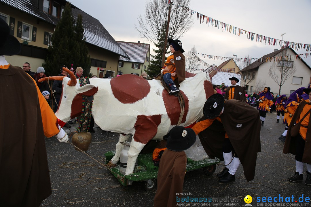 Fasnachtsumzug und Narrentage: Welschingen, 24.01.2016