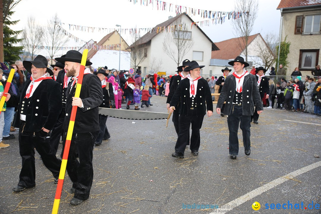 Fasnachtsumzug und Narrentage: Welschingen, 24.01.2016