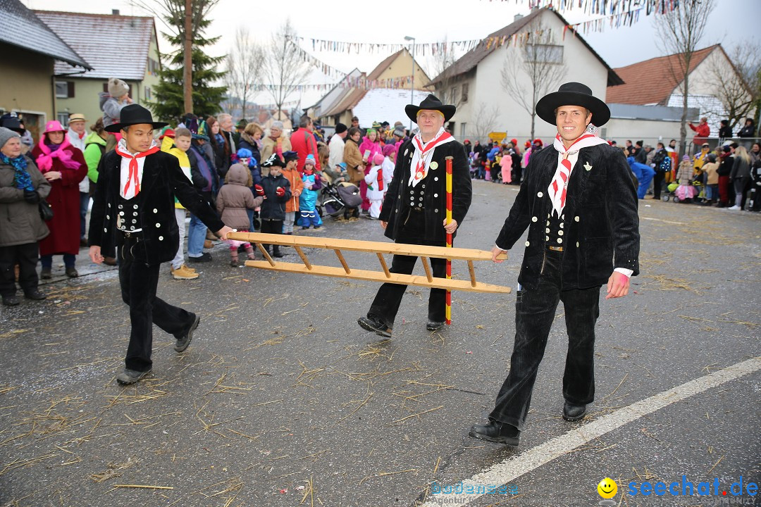 Fasnachtsumzug und Narrentage: Welschingen, 24.01.2016