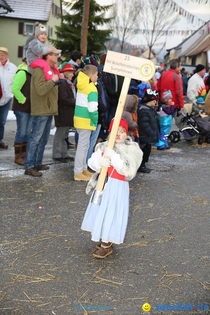 Fasnachtsumzug und Narrentage: Welschingen, 24.01.2016