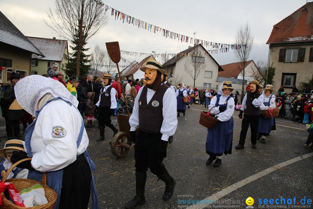 Fasnachtsumzug und Narrentage: Welschingen, 24.01.2016