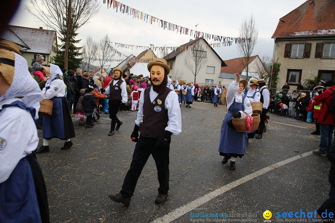 Fasnachtsumzug und Narrentage: Welschingen, 24.01.2016