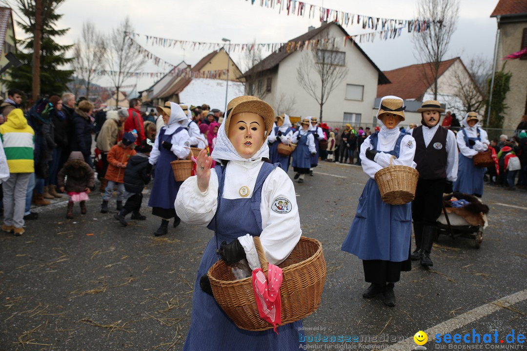 Fasnachtsumzug und Narrentage: Welschingen, 24.01.2016