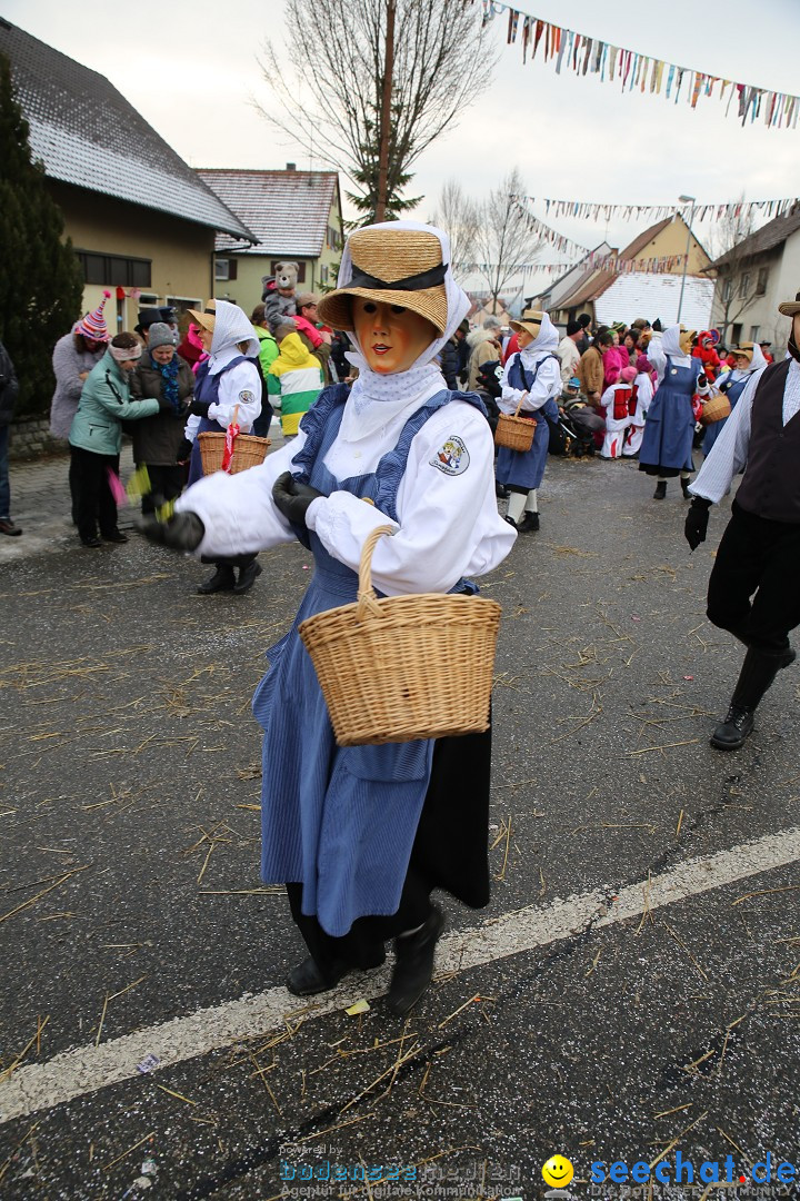 Fasnachtsumzug und Narrentage: Welschingen, 24.01.2016