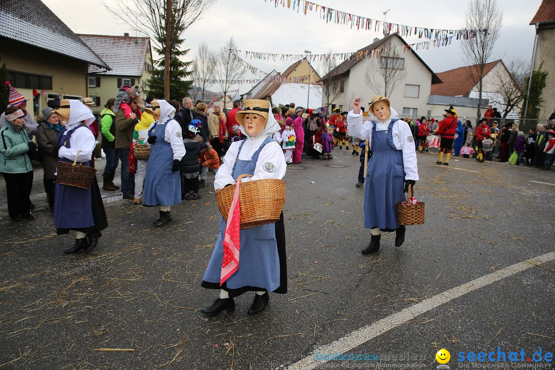 Fasnachtsumzug und Narrentage: Welschingen, 24.01.2016