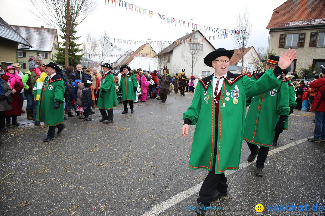 Fasnachtsumzug und Narrentage: Welschingen, 24.01.2016