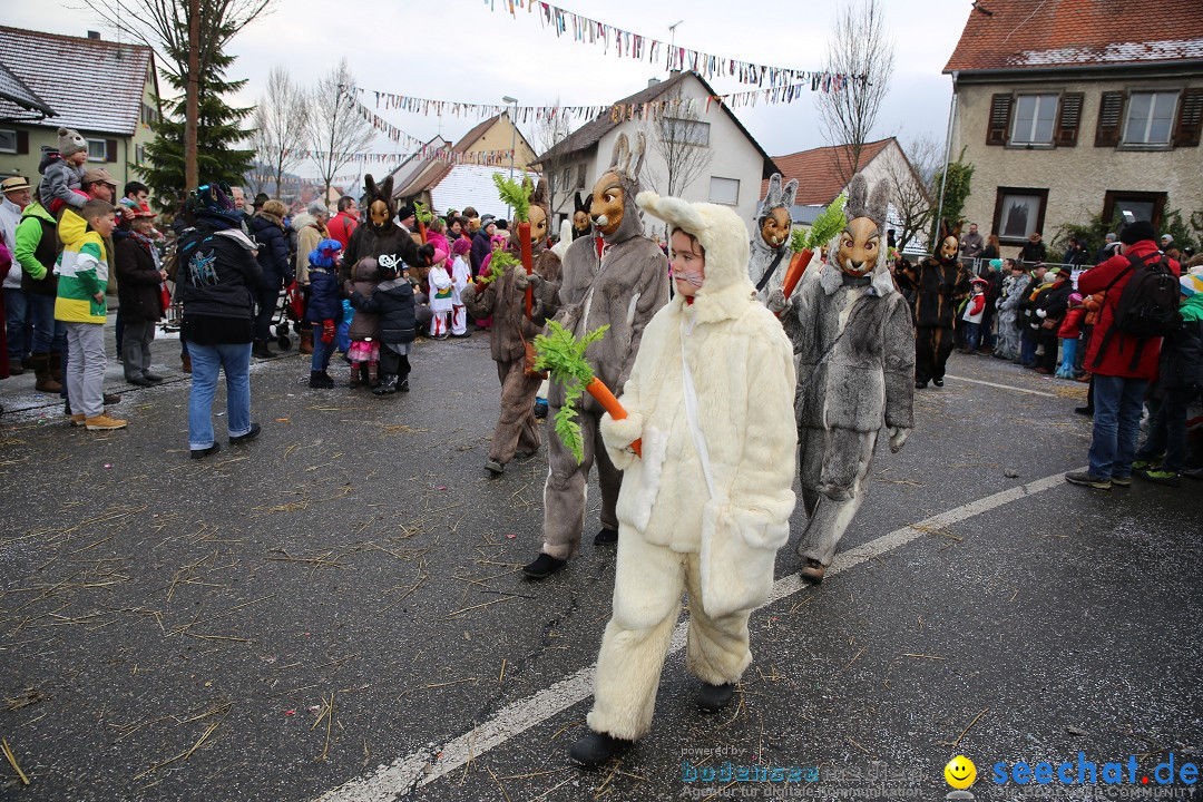 Fasnachtsumzug und Narrentage: Welschingen, 24.01.2016