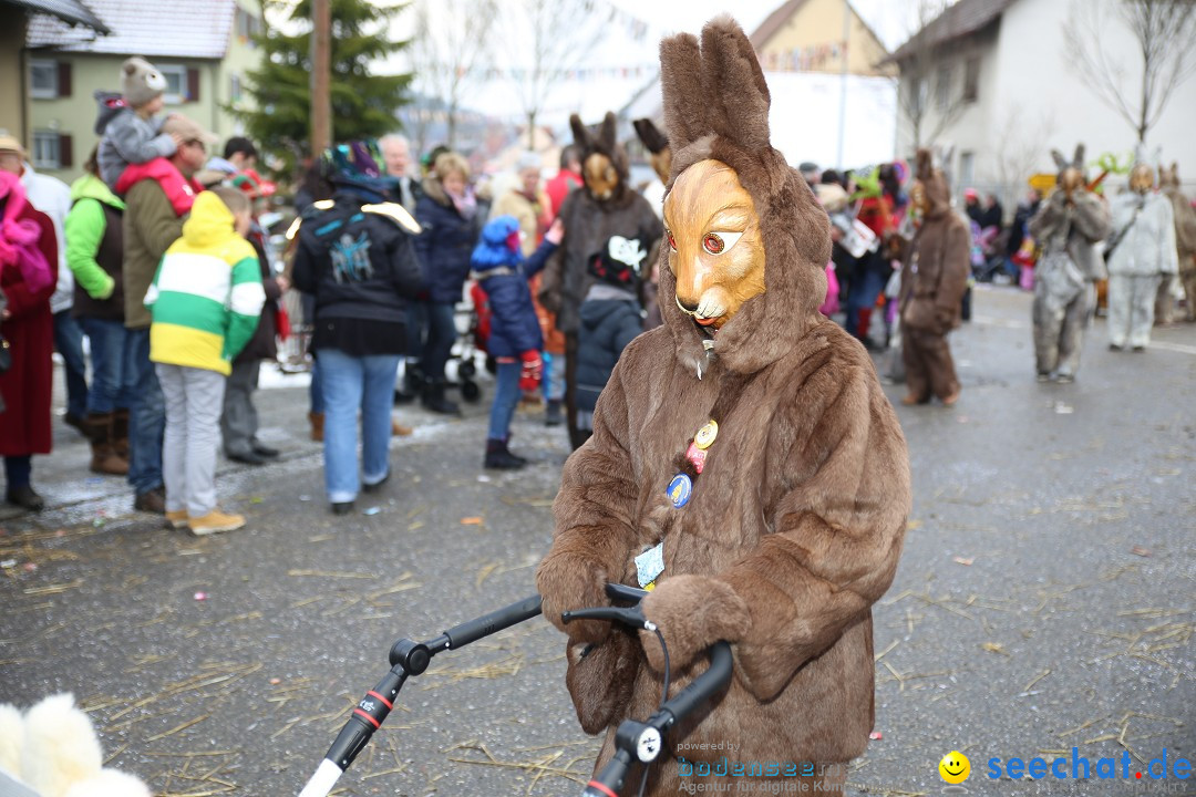 Fasnachtsumzug und Narrentage: Welschingen, 24.01.2016