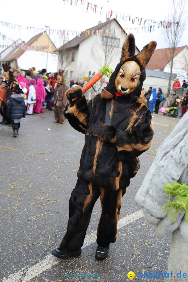 Fasnachtsumzug und Narrentage: Welschingen, 24.01.2016