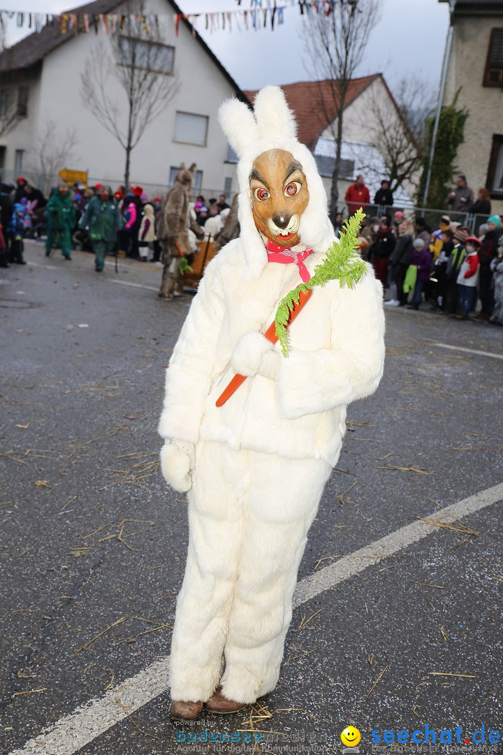 Fasnachtsumzug und Narrentage: Welschingen, 24.01.2016