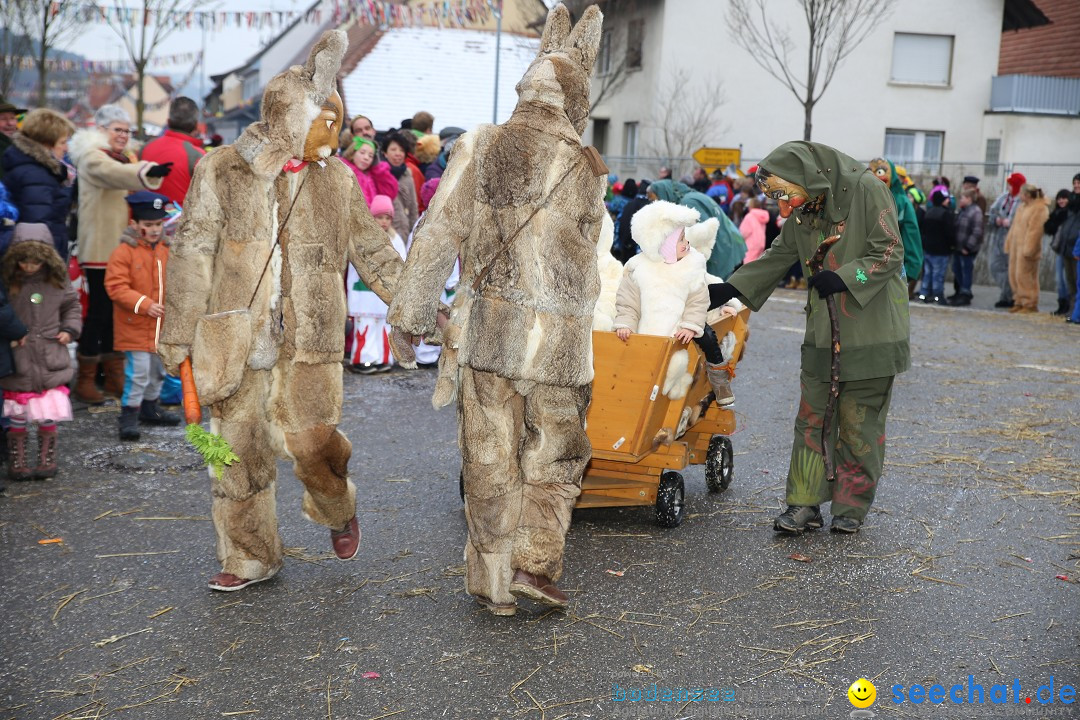 Fasnachtsumzug und Narrentage: Welschingen, 24.01.2016