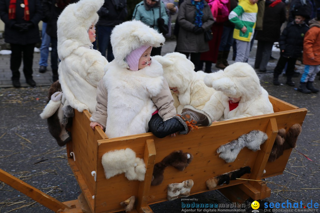 Fasnachtsumzug und Narrentage: Welschingen, 24.01.2016