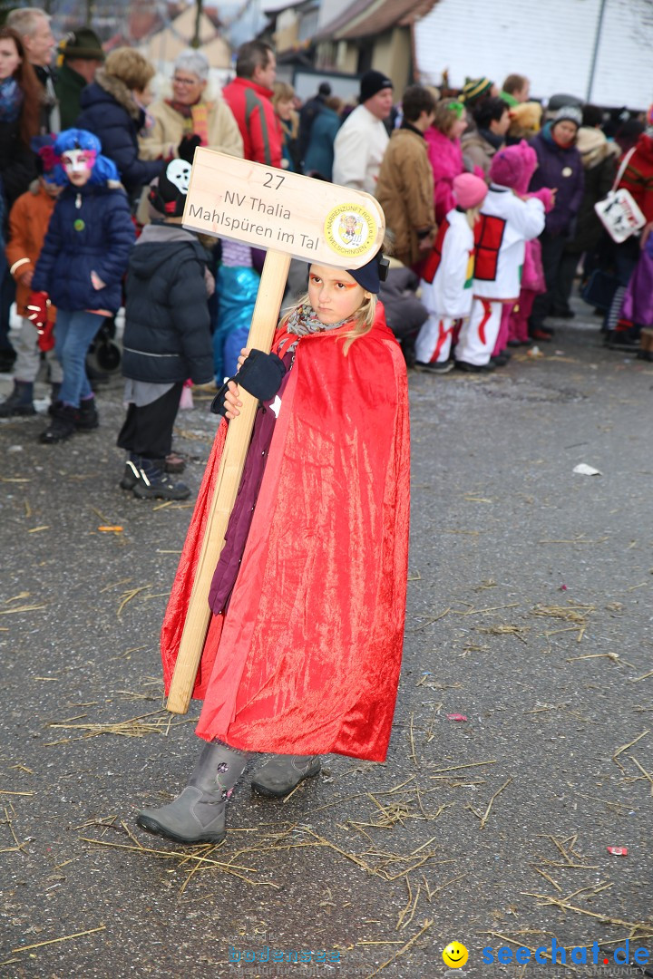 Fasnachtsumzug und Narrentage: Welschingen, 24.01.2016