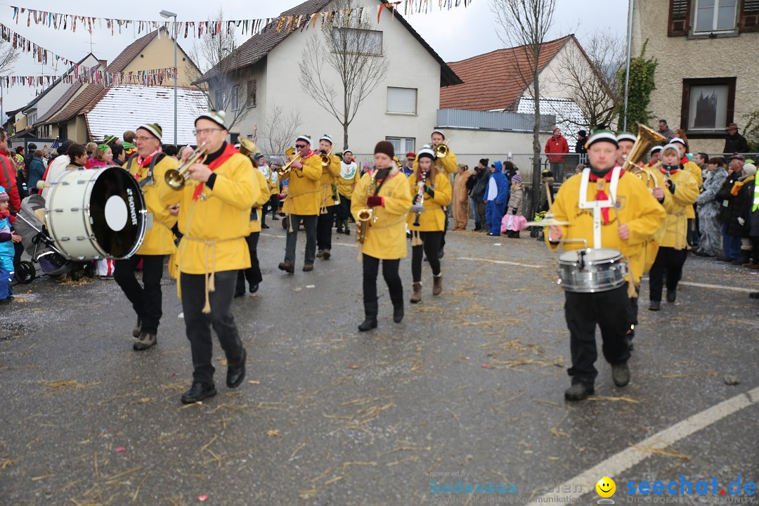 Fasnachtsumzug und Narrentage: Welschingen, 24.01.2016