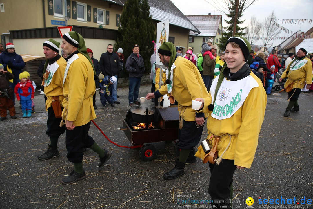 Fasnachtsumzug und Narrentage: Welschingen, 24.01.2016