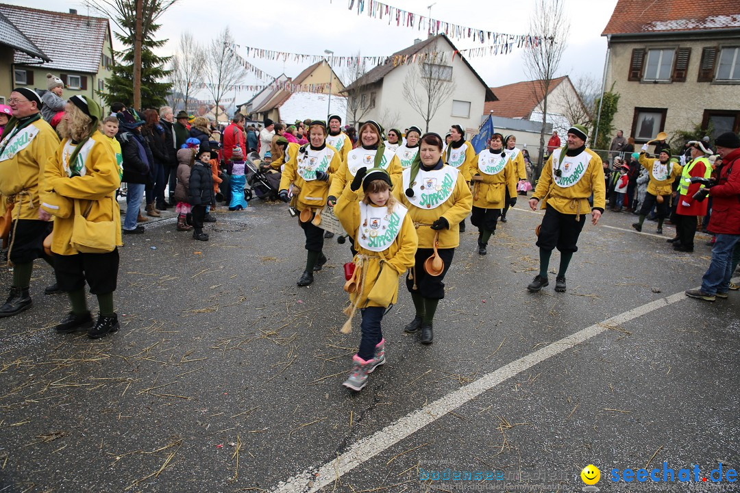 Fasnachtsumzug und Narrentage: Welschingen, 24.01.2016