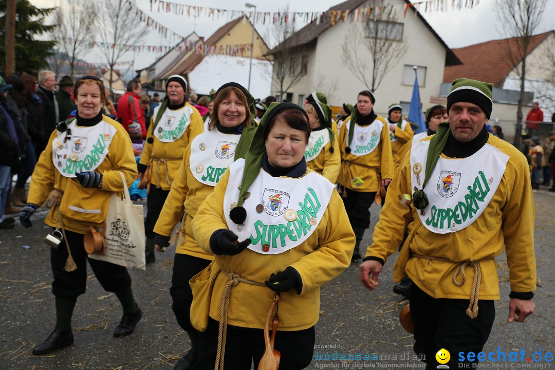 Fasnachtsumzug und Narrentage: Welschingen, 24.01.2016