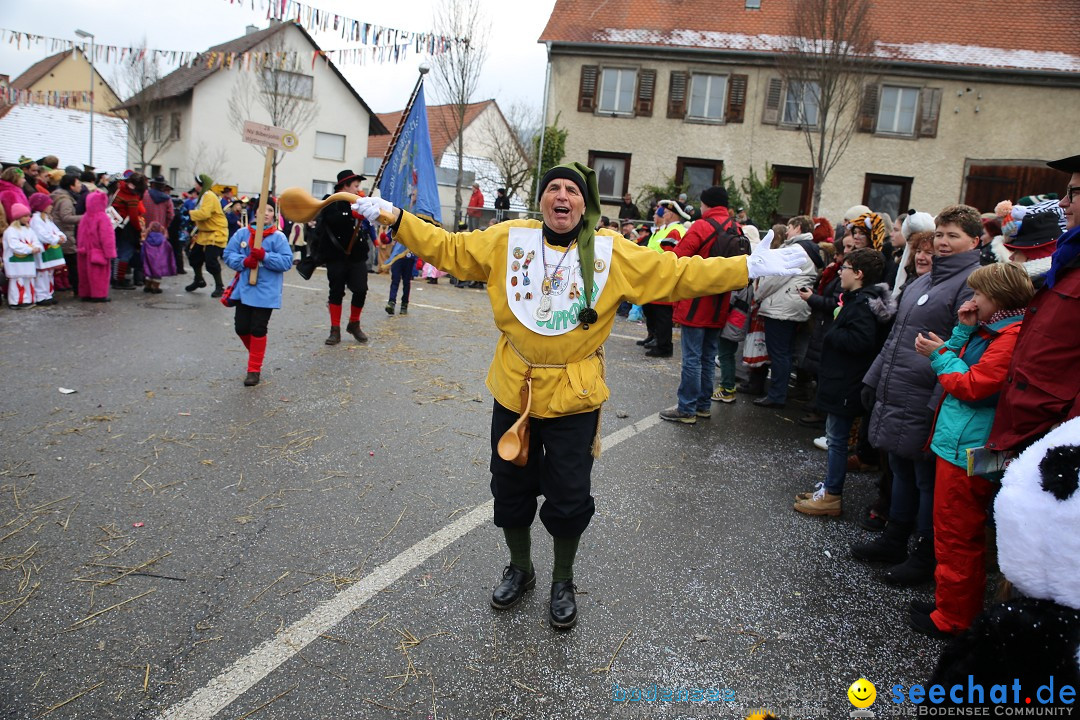 Fasnachtsumzug und Narrentage: Welschingen, 24.01.2016