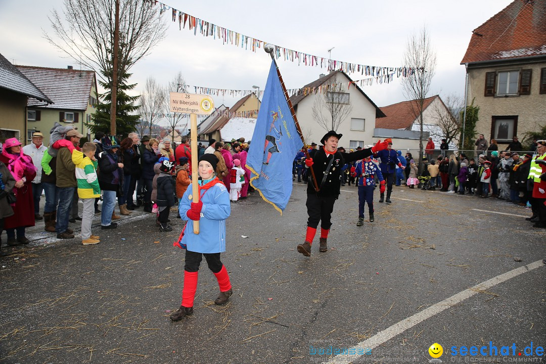 Fasnachtsumzug und Narrentage: Welschingen, 24.01.2016