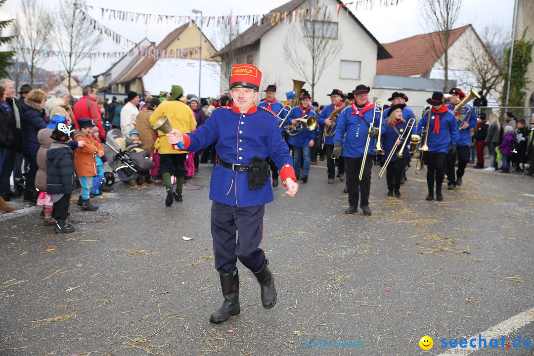 Fasnachtsumzug und Narrentage: Welschingen, 24.01.2016