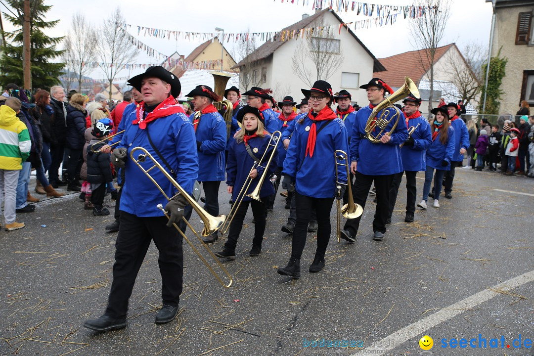 Fasnachtsumzug und Narrentage: Welschingen, 24.01.2016