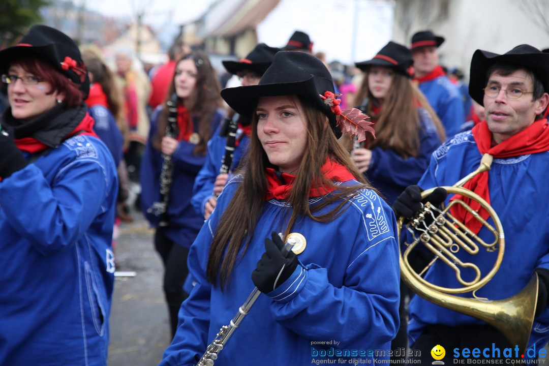 Fasnachtsumzug und Narrentage: Welschingen, 24.01.2016