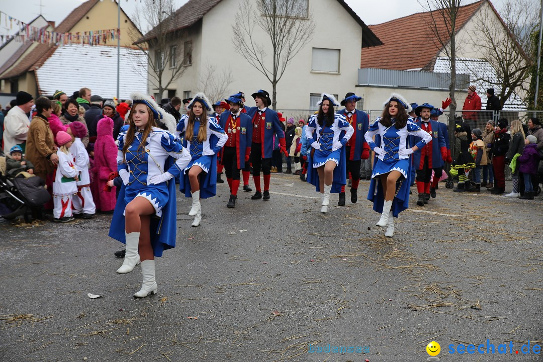 Fasnachtsumzug und Narrentage: Welschingen, 24.01.2016