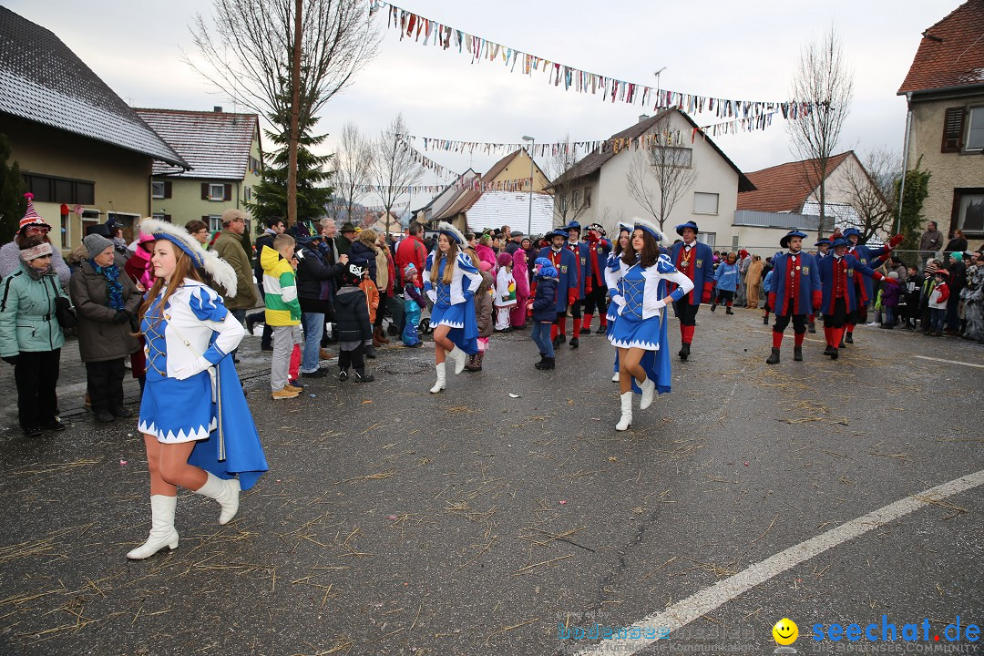 Fasnachtsumzug und Narrentage: Welschingen, 24.01.2016