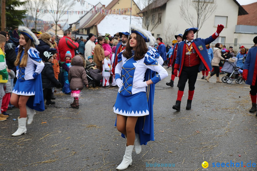 Fasnachtsumzug und Narrentage: Welschingen, 24.01.2016