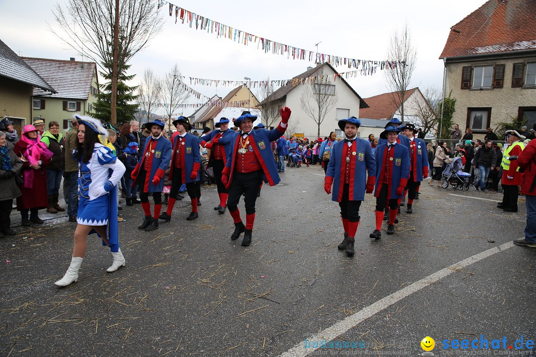 Fasnachtsumzug und Narrentage: Welschingen, 24.01.2016