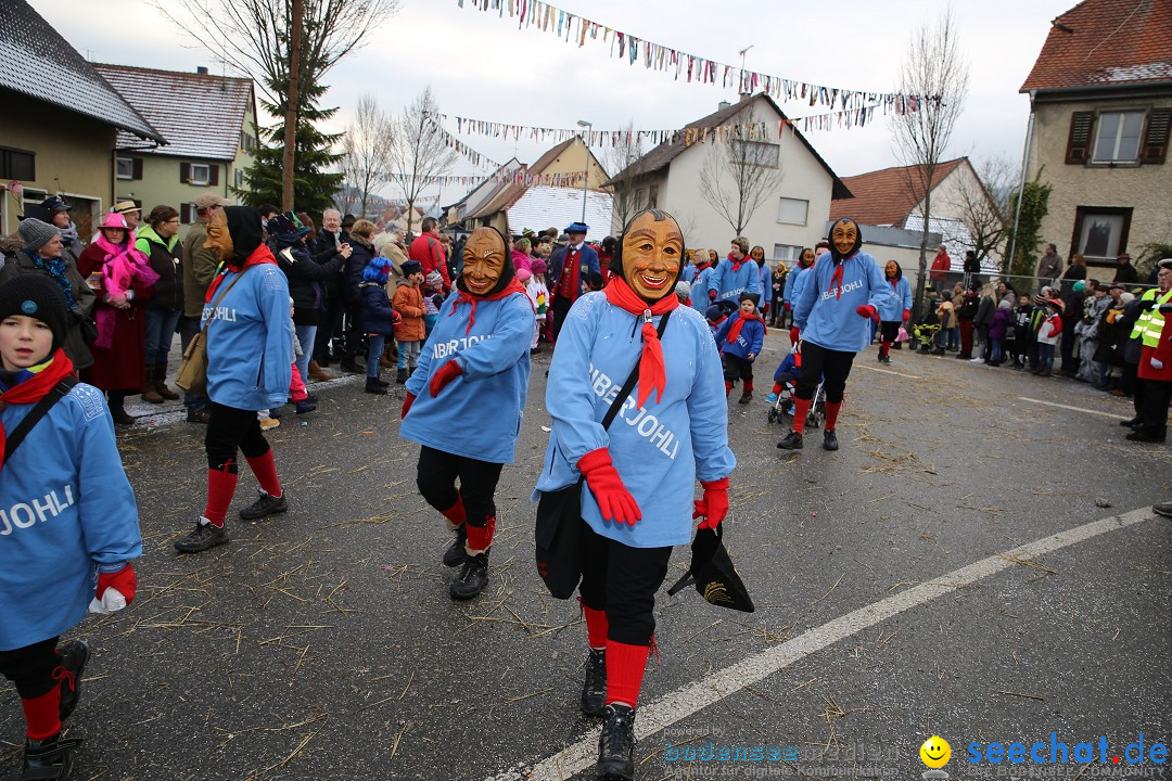 Fasnachtsumzug und Narrentage: Welschingen, 24.01.2016