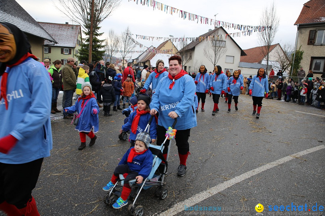 Fasnachtsumzug und Narrentage: Welschingen, 24.01.2016