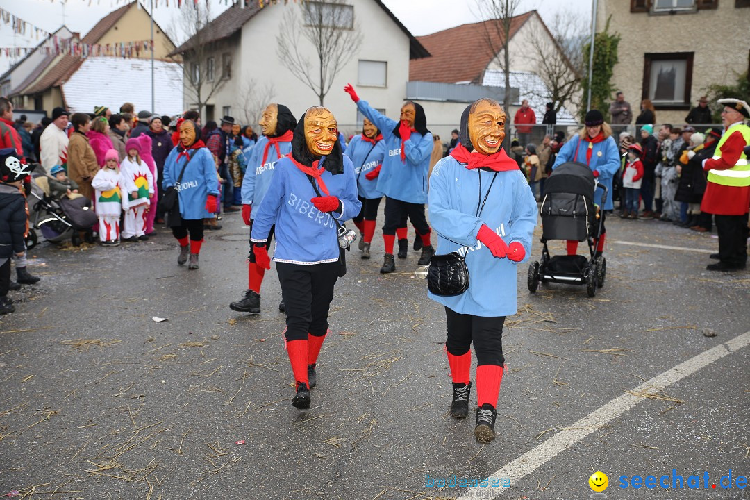 Fasnachtsumzug und Narrentage: Welschingen, 24.01.2016