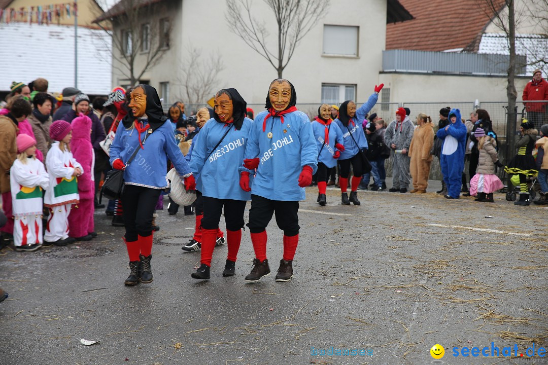 Fasnachtsumzug und Narrentage: Welschingen, 24.01.2016