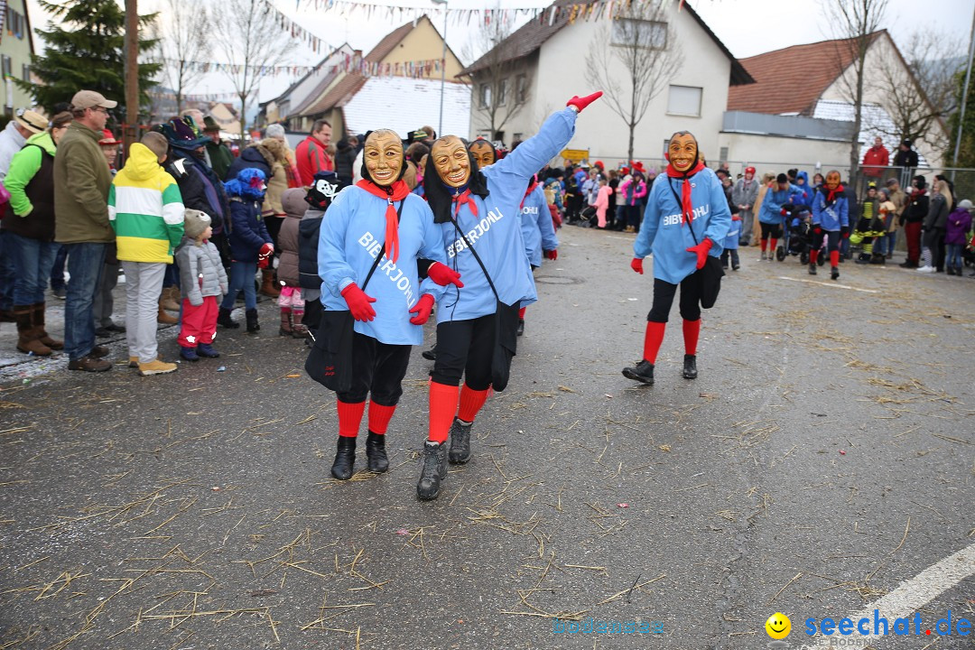 Fasnachtsumzug und Narrentage: Welschingen, 24.01.2016