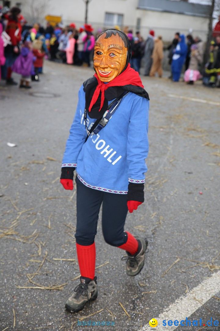 Fasnachtsumzug und Narrentage: Welschingen, 24.01.2016