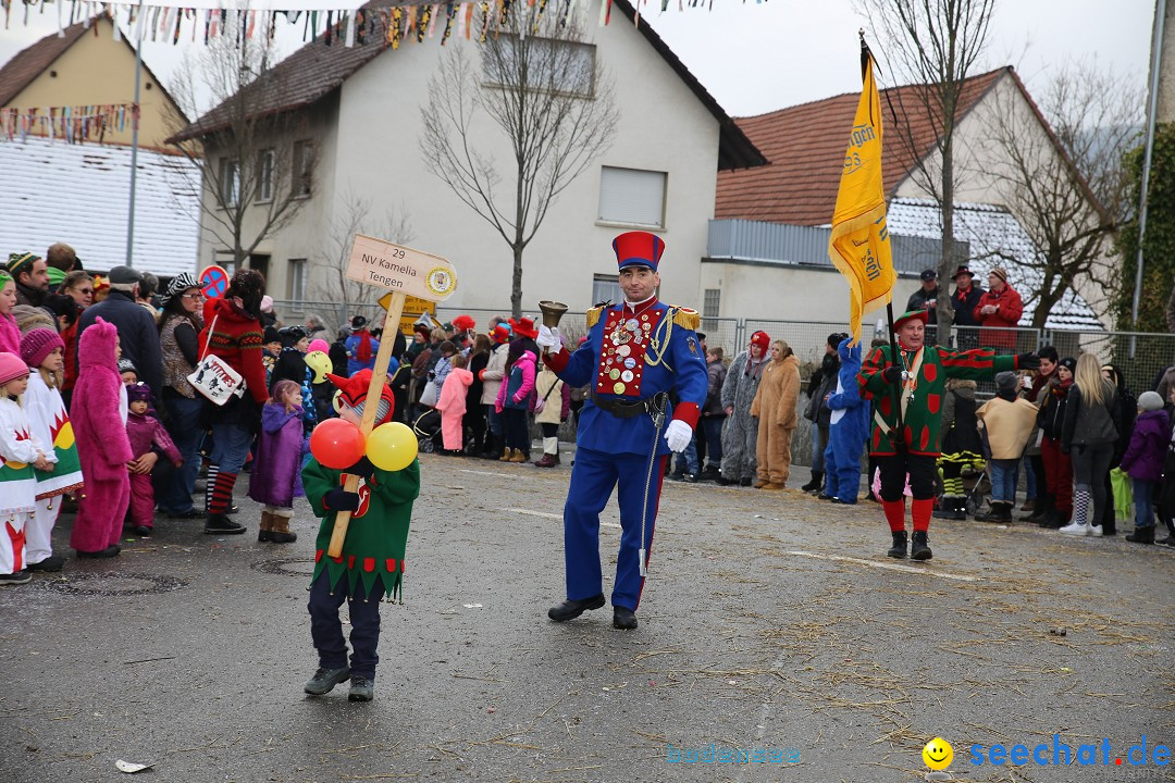 Fasnachtsumzug und Narrentage: Welschingen, 24.01.2016