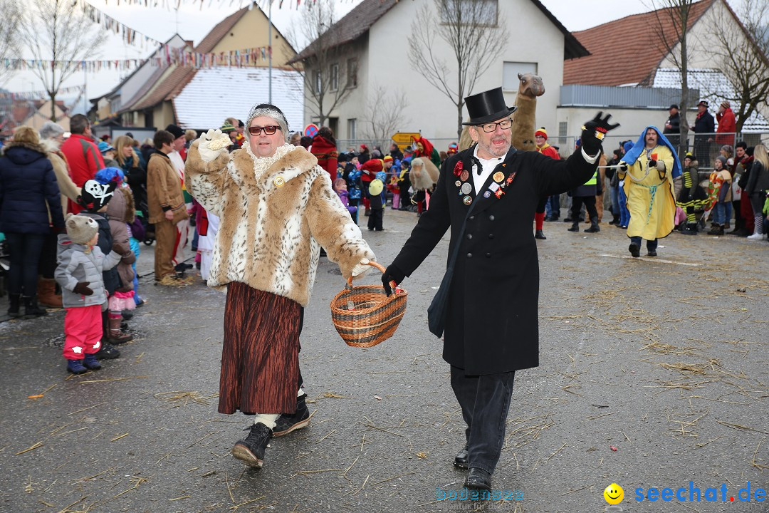 Fasnachtsumzug und Narrentage: Welschingen, 24.01.2016