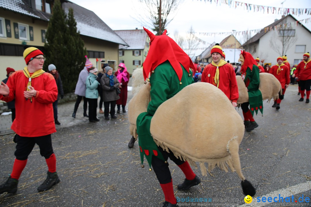 Fasnachtsumzug und Narrentage: Welschingen, 24.01.2016