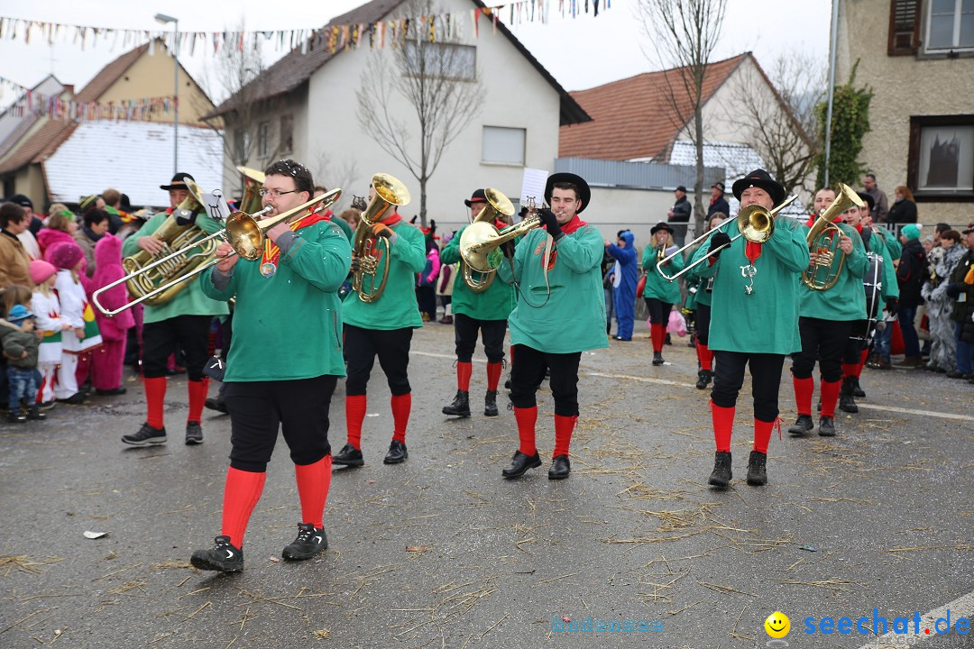 Fasnachtsumzug und Narrentage: Welschingen, 24.01.2016