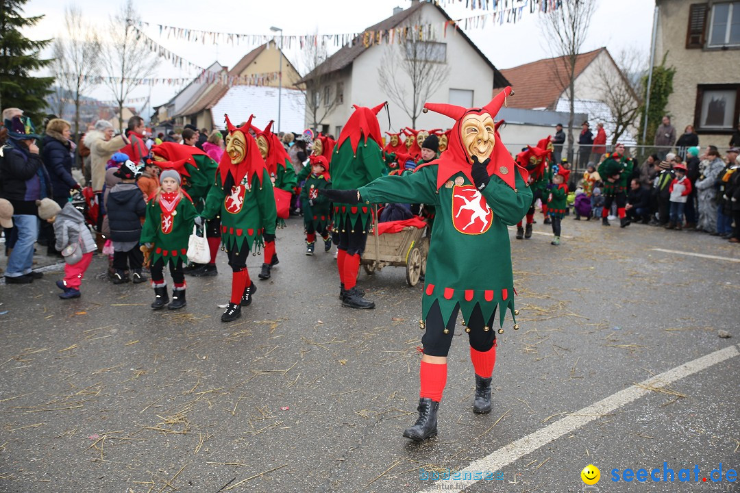 Fasnachtsumzug und Narrentage: Welschingen, 24.01.2016