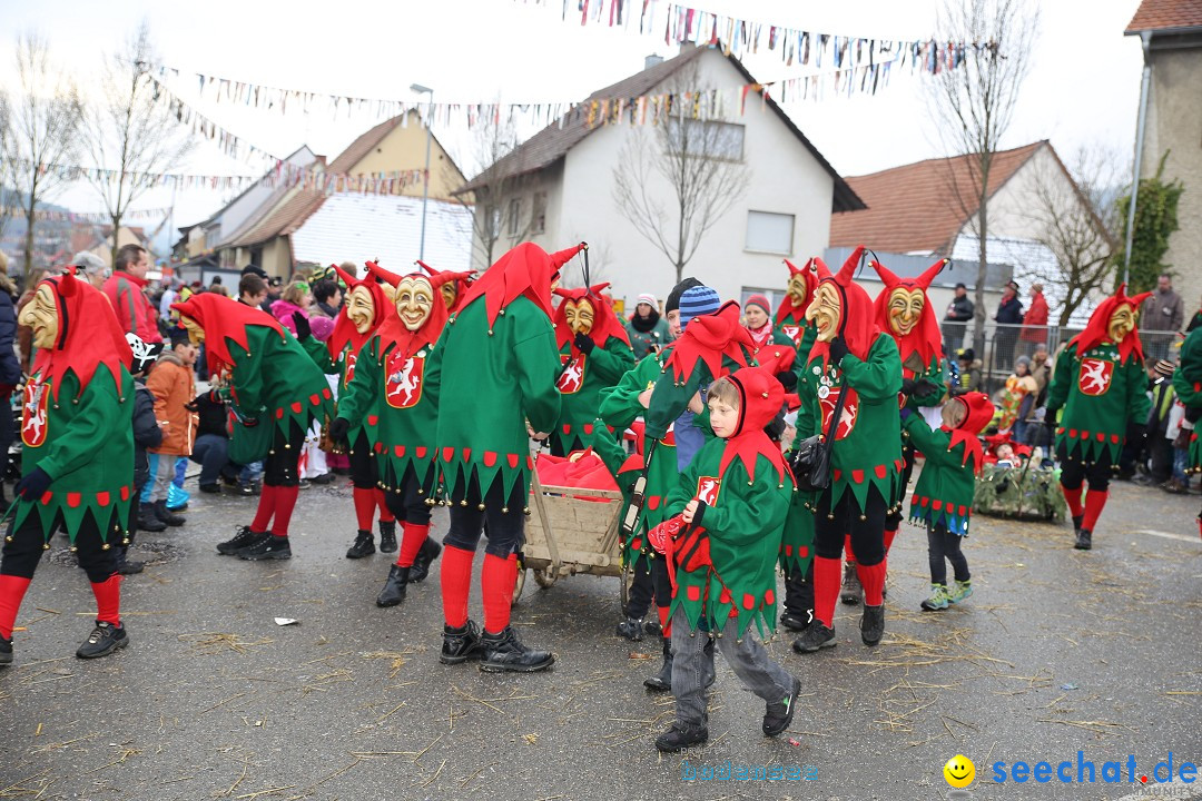 Fasnachtsumzug und Narrentage: Welschingen, 24.01.2016