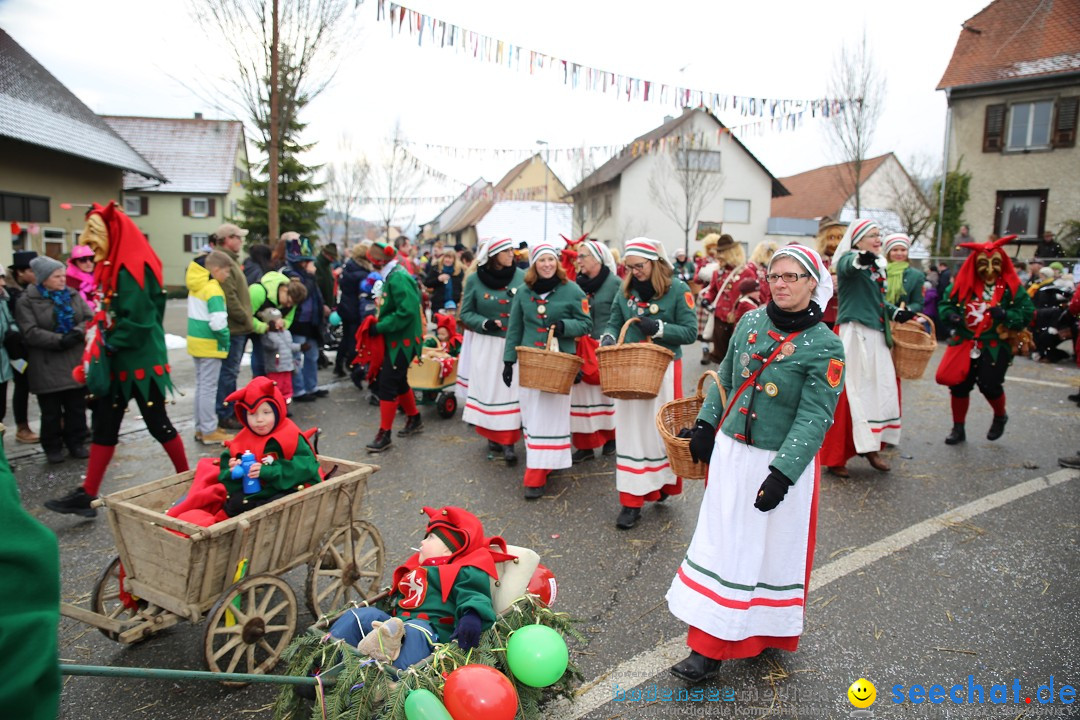 Fasnachtsumzug und Narrentage: Welschingen, 24.01.2016