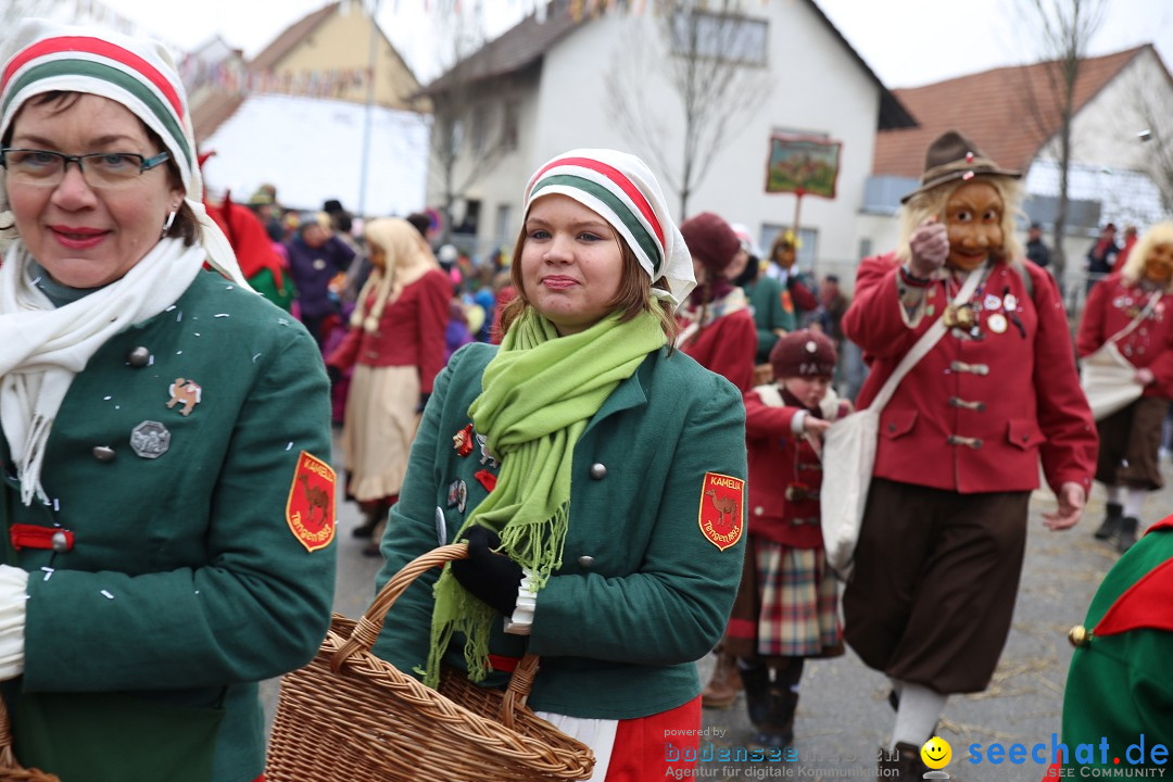 Fasnachtsumzug und Narrentage: Welschingen, 24.01.2016